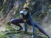 BlackFox - photo 1