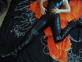 Cleverdomina - photo 1