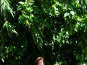 Daimondlover - photo 3