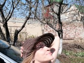 HornyKat - photo 2