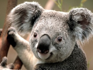 Kendra1's profile picture