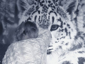 Kriss-Night-kitt - photo 4