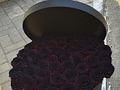 LovelySofi - photo 3