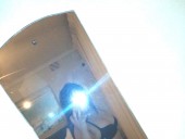 Poison - photo 3