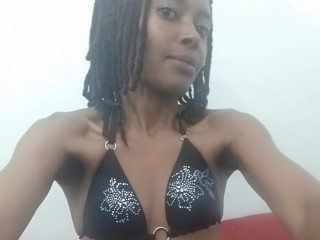 Sinequa's profile picture
