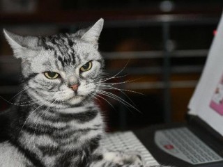 WebcamStartup's profile picture