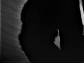 ghostwiitch - photo 3