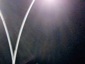 miacasshgold - photo 3