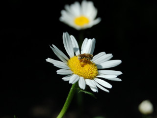 test123's profile picture